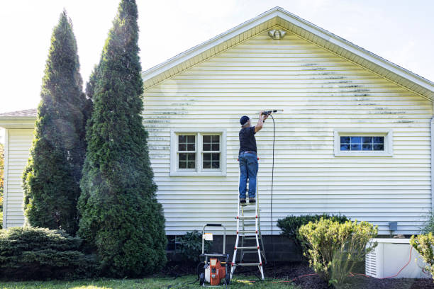 Paint Preparation in Niwot, CO